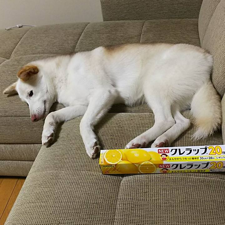 48fff361 d1d5 402f be42 b7fd47660534