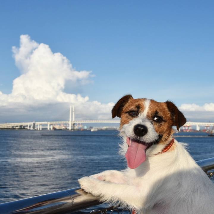 490080fb 871b 448a a7c1 ef3f2051a083