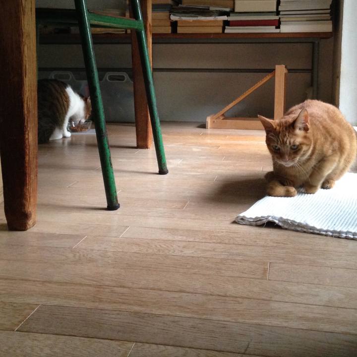 4900898f 251e 4172 8903 024411bc30c6