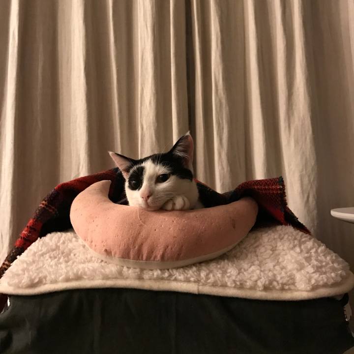 4901e5ec f330 4208 a827 40be4c1e35e6