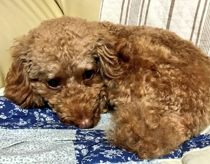 4903f172 9660 41c6 bd86 174edec4c24c