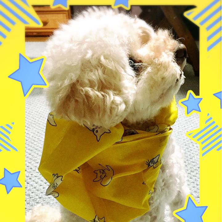 4903fe0c 47ec 4526 93fa bd8c84d96a44