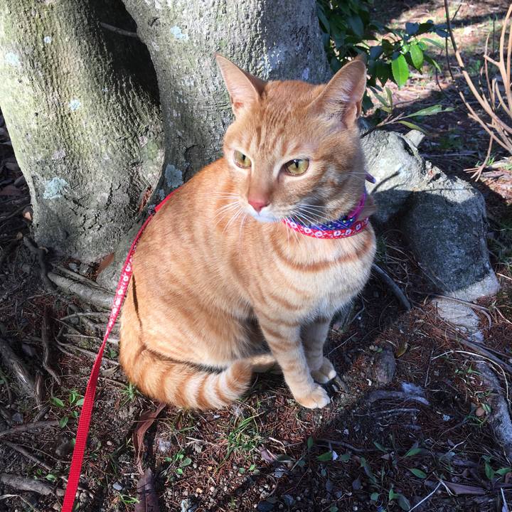 49040919 7fa6 4982 a749 50a5eac8b1f0