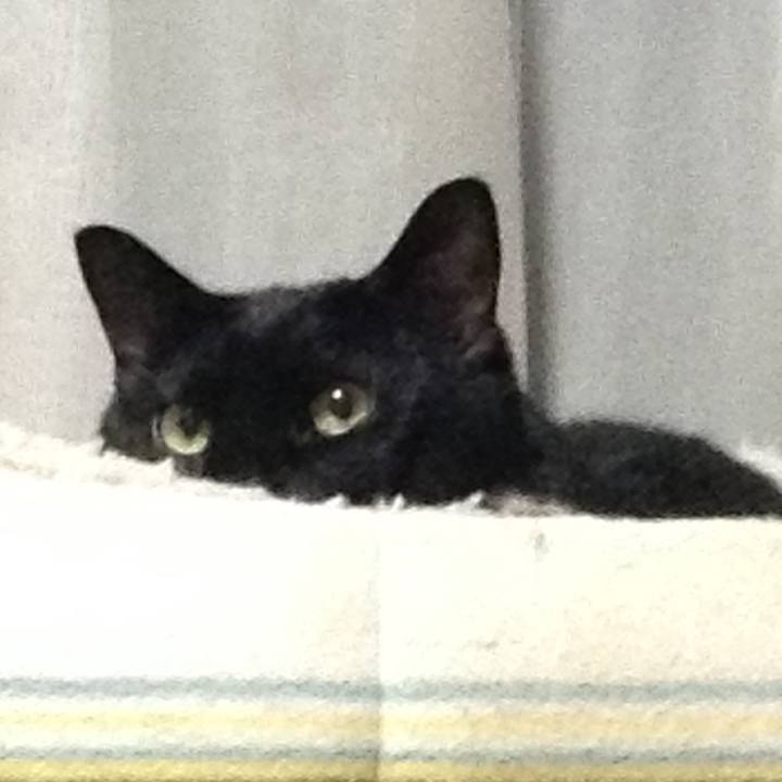 49041ec7 1c7e 4be5 af9f 73525858f7f5