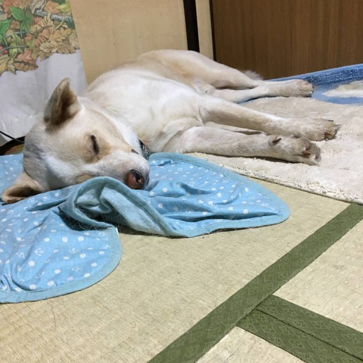 490454d2 5dd5 4186 93fd ad374b23aa18