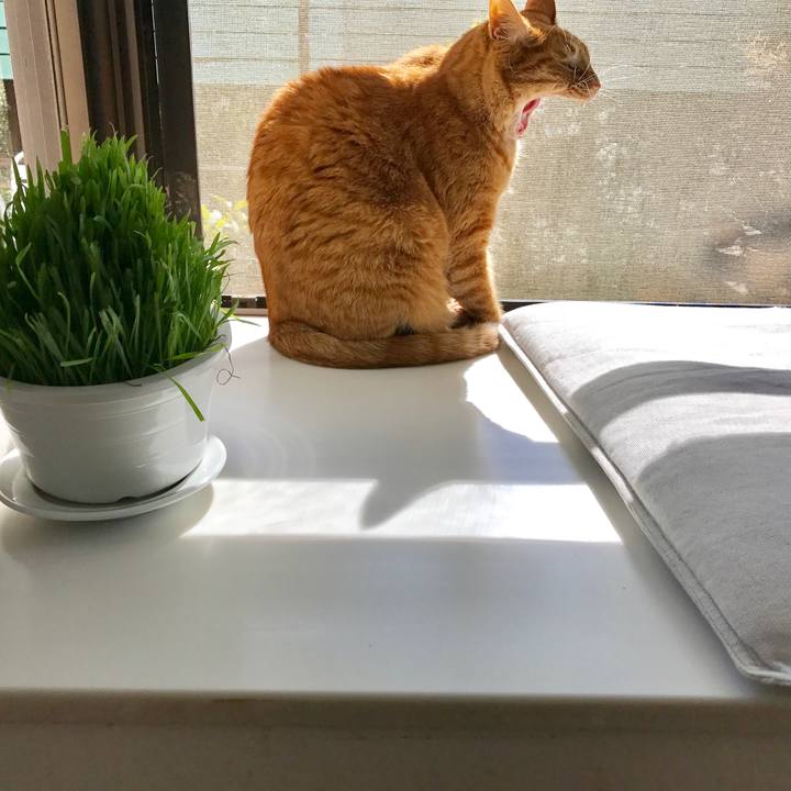 490462d8 1089 44e3 aace b06b48c2dc63