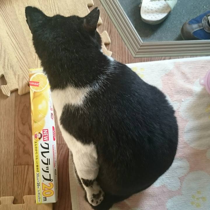 49046870 0132 459c a801 30ad1a57e91e