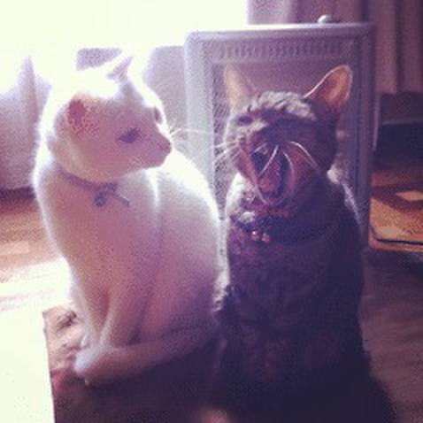 490561b3 b707 43d5 b116 fad55f3f40e1