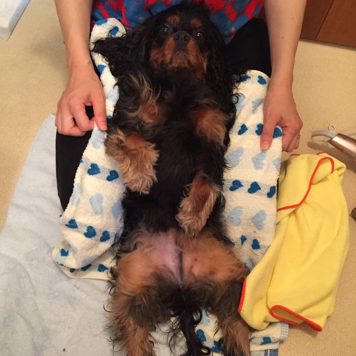 4906e2b7 3f7d 4dc3 af9c 0a82f09ed735