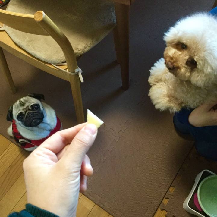 49071131 6f0a 4d05 ad97 6aad806485c4