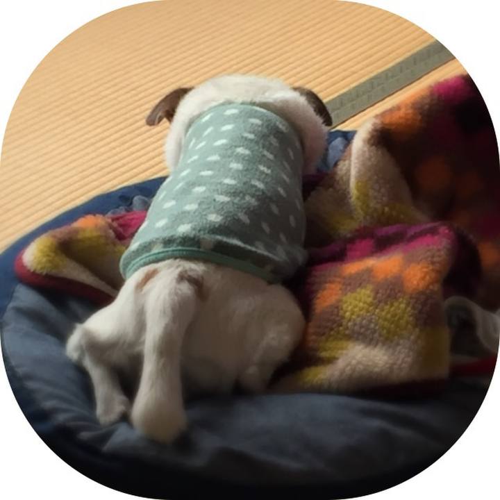 490783e7 ee16 4621 a0b3 ee5d6ef91ced