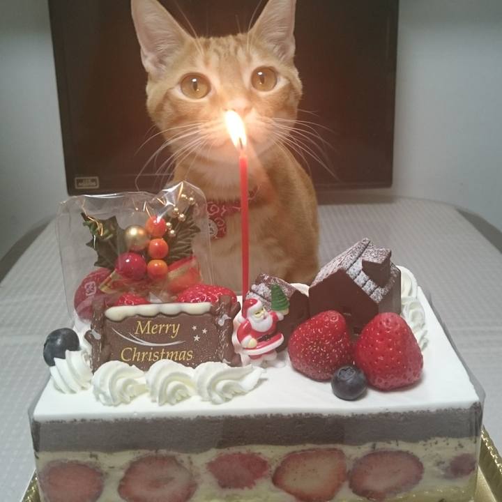 4907c4ad 75ed 4573 bae2 45dd9da84ce1