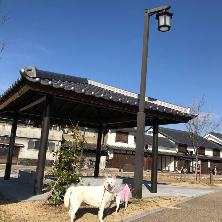 4908292f 4099 4dca afaf 7c76d86dfbbe