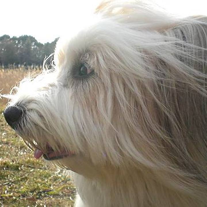 4908ecd2 29c7 4400 8dfe cfa932c8542e