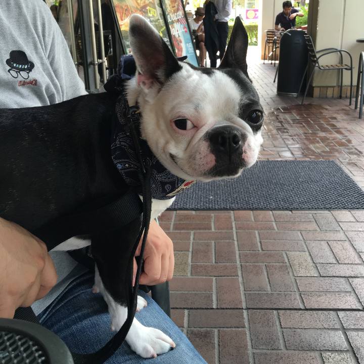 4908f132 6fae 4dc2 b85a 499662af4172