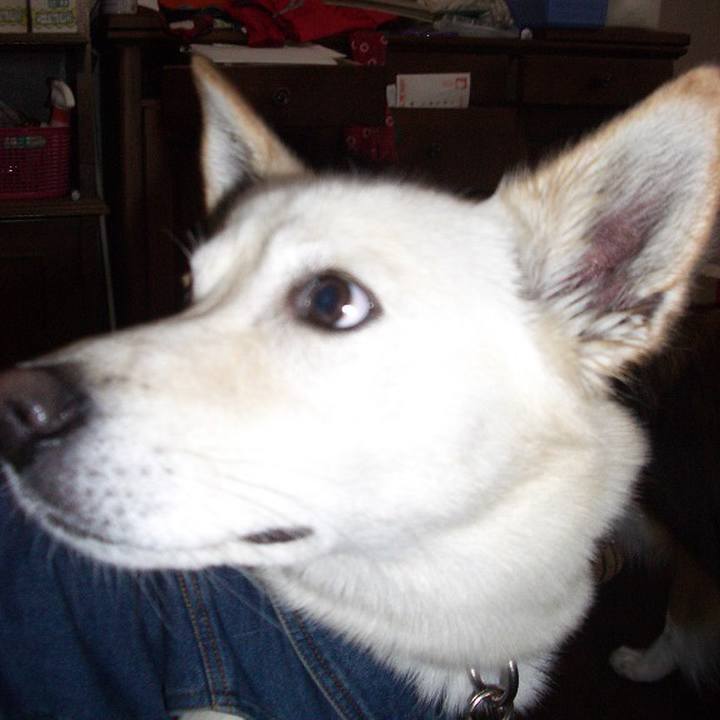 4909787b 1a69 4a0e 8d70 4ce8843beab1