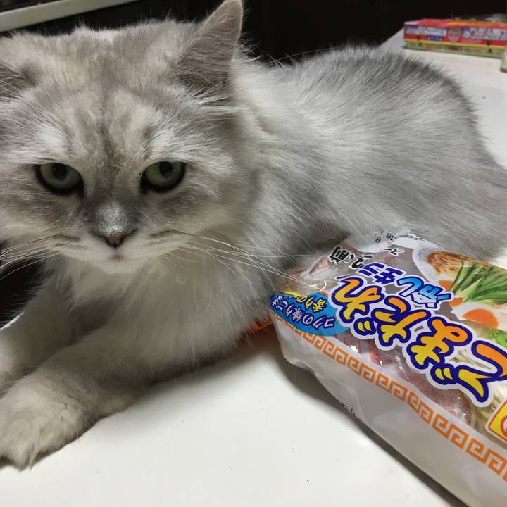 4909f98d e20f 4cb5 a9bc f38f84dd05df