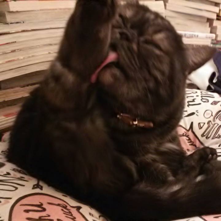 490a31f7 fea4 4e21 9214 a2f4231e0585