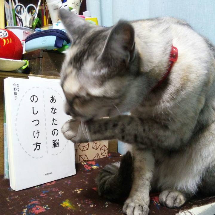 490ab46b 9296 4afd 9d47 31e1304dd62b