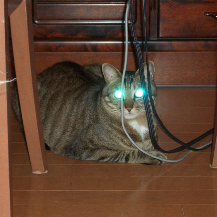 490ac14e 235b 4a14 be65 397fd6b5eb7c