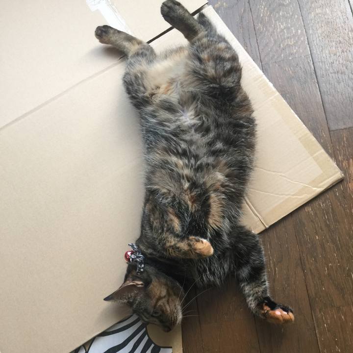 490ace41 cbc2 4ee6 8e22 d18f00abb05c