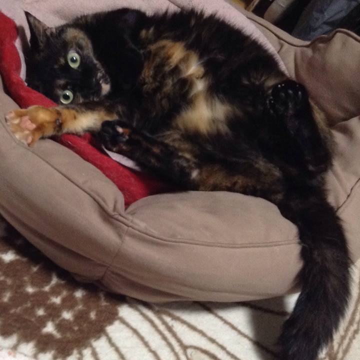 490aeaf3 95d3 4e14 b164 d4437b34698b