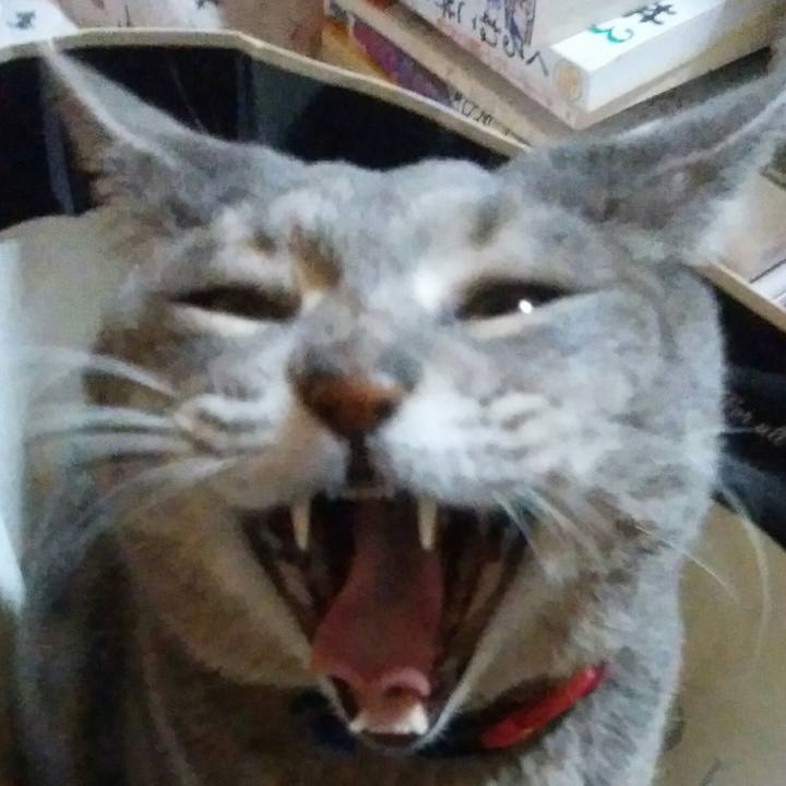 490b18f3 a65a 4583 9b86 589115529ec6