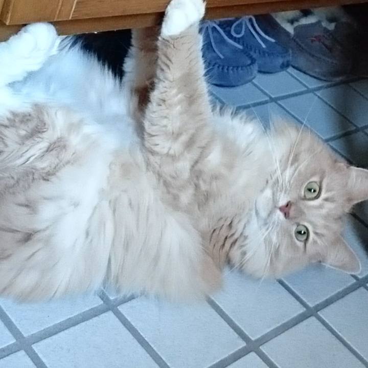 490b3523 766c 487a a0f6 213f73a212eb