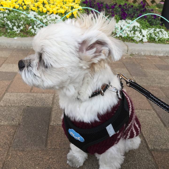 490b4472 c88d 4bf6 9b05 cd23984e4424