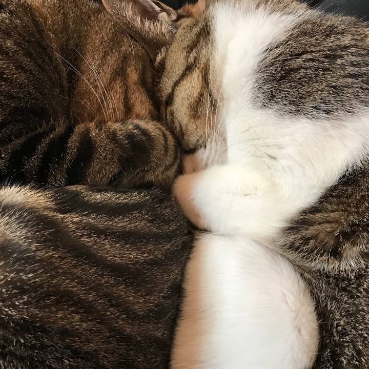 490b4a4b feb7 4da7 a35b 8ce749e47c10