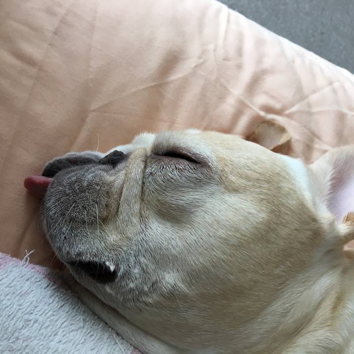 490b7a18 8bd7 4686 abe0 b15f81a15cf5