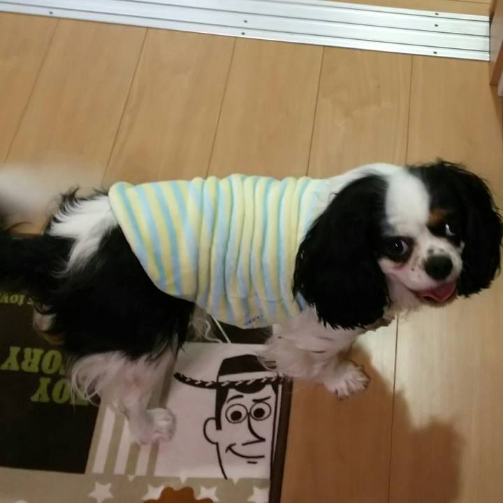 490c0202 d2be 4c0d 9e8a cfbbf7061a79