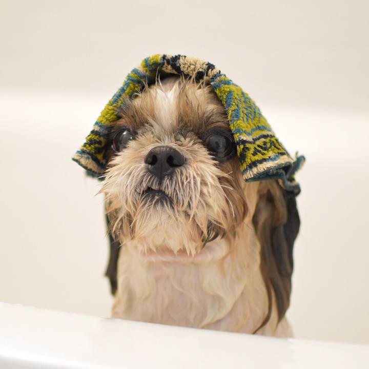 490c0595 34f1 4c66 8926 e39162d5c848