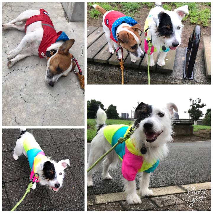 490c0c3f 0e15 4501 9052 8561dcf9925f