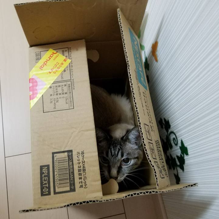 490c3282 5cc1 4a20 9330 e7feba8b53bc