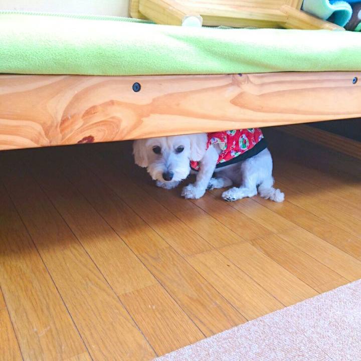 490d1e7c 3fc4 4ac3 8f35 b1ef6952a83e