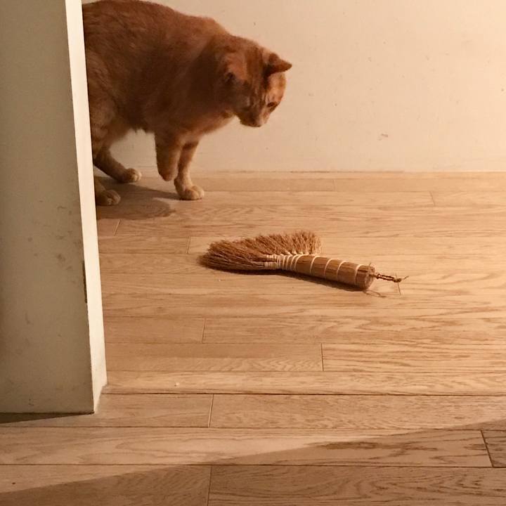 490d48c2 f78b 4e85 8b50 718bce79b2b5