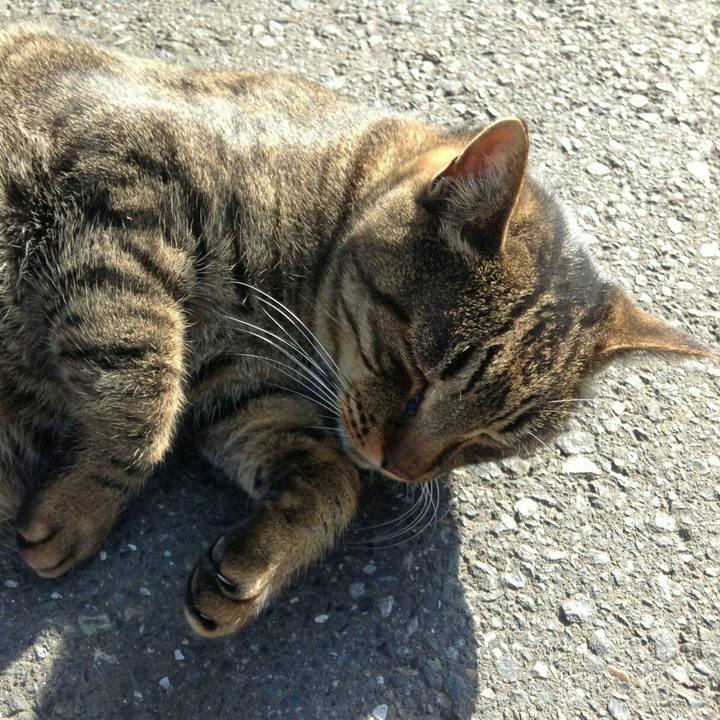 490d910d 704d 49f0 b1cd c6e58ec4f212