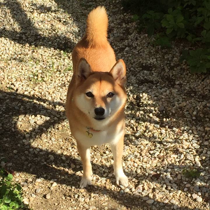 490db434 b0eb 4c84 a18c a0f6895b0ed2