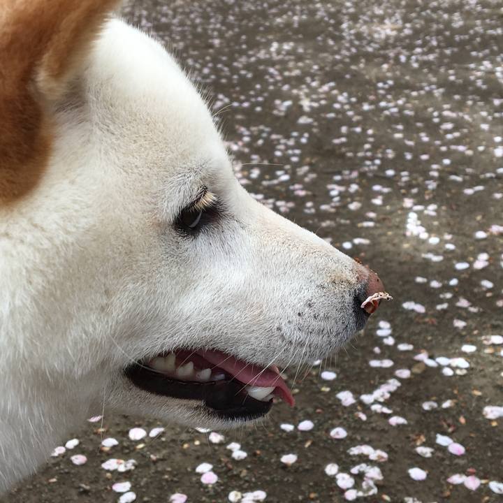 490e3ab0 f301 4a4b 8e45 707aaf81becc