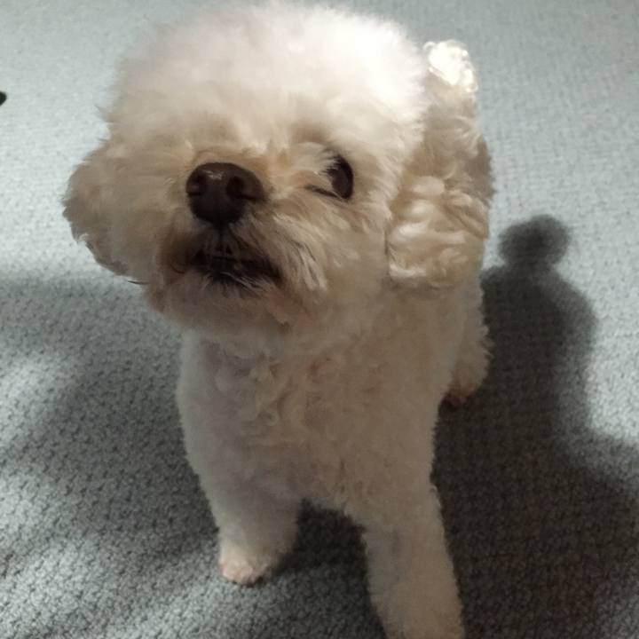 490e6bda 5007 4e8a a8ff 00001d56f098