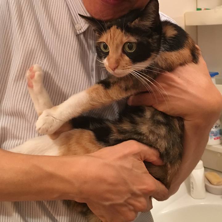 490e8f61 e827 4063 8bbf 2a097f5623bd