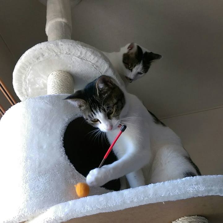 490ed308 2971 4aff 85e0 d8a3a13d55dc