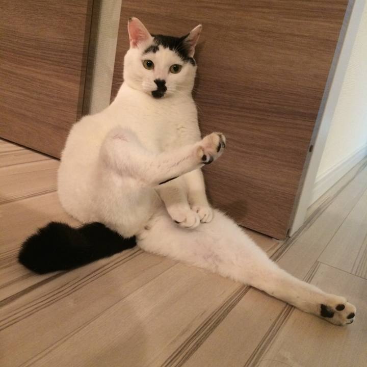 490eefac 927c 497e ac37 77e02be8e94f