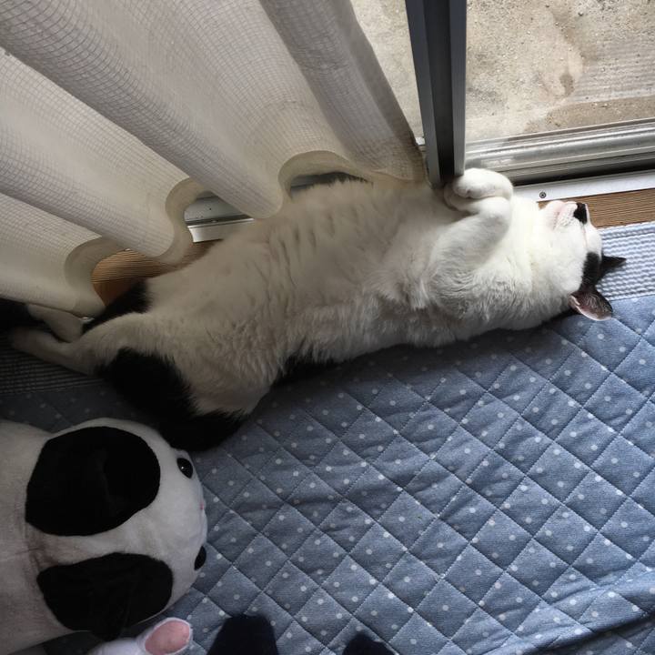 490ef705 f61c 46f7 abad 61563193c6d0