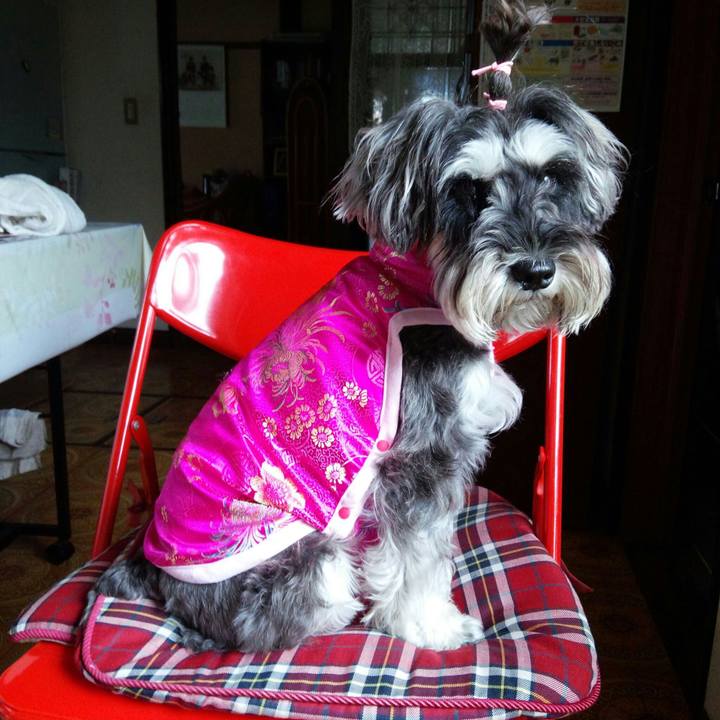 490ef8fc dfb8 4322 8a17 fb03fa8919c5