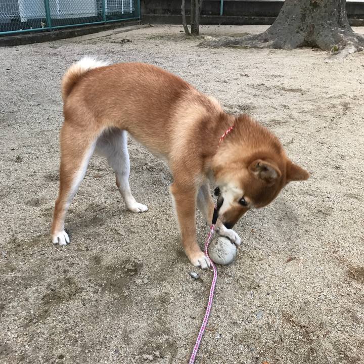 49104270 6c1e 4ffb b114 263f3e505553