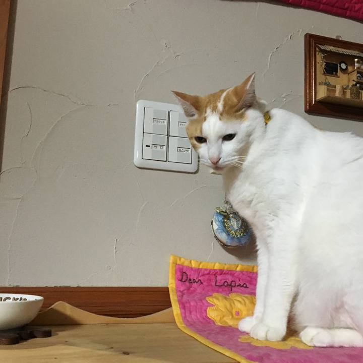 4910a961 6d0e 411c b12d 51456695a4db