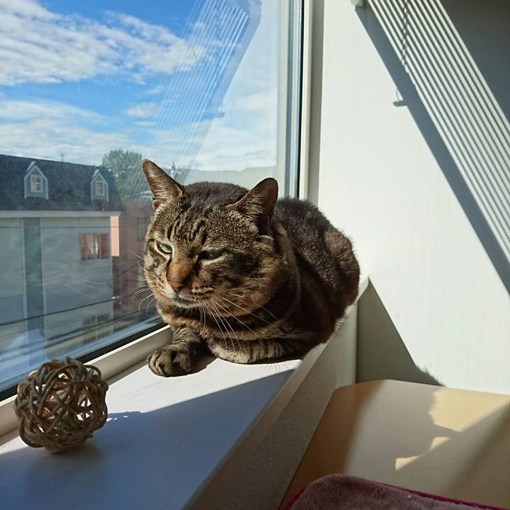 4910ac7c e7f0 46e9 9e2b f464379f5a28