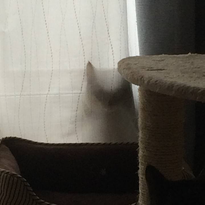 491142fe eed6 4790 987d 45d85ca04e80